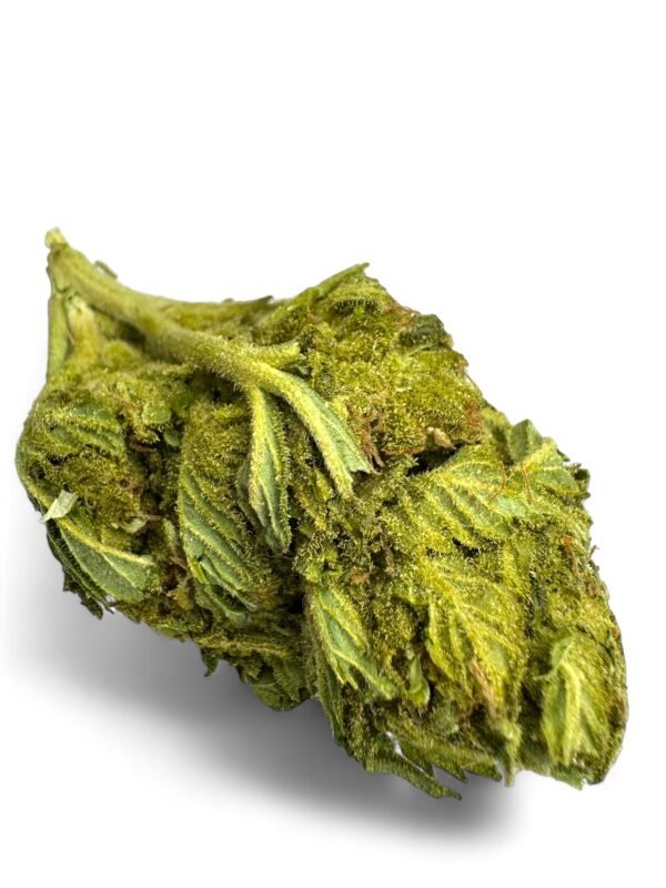 King Kush