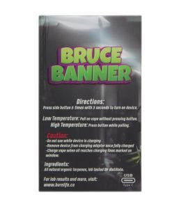 bruce-banner-back-247×296