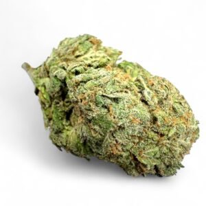 Red Dragon