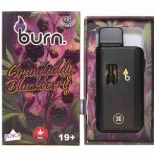 3 Gram Burn Disposable Vapes – Granddaddy Blackberry