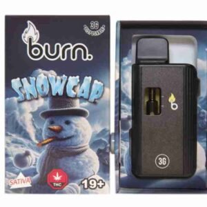 3 Gram Burn Disposable Vapes – Snowcap
