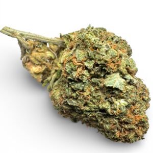 Key Lime Pie
