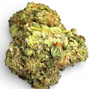 Alien Gorilla