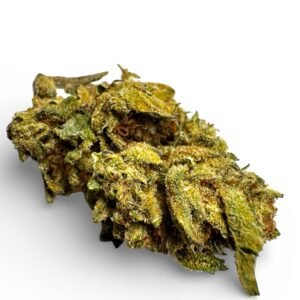 Jack Herer