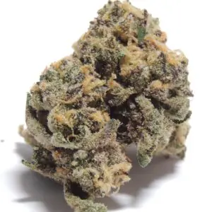 Mango Haze