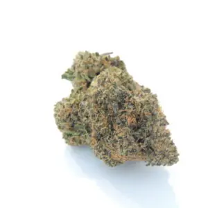 Brownie Scout