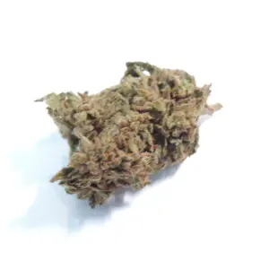 Purple God