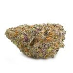 FROSTYGELATO_SINGLE-375-300x300